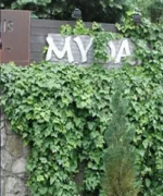 MYDAN