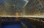 RADISSON BLUE - Image 10