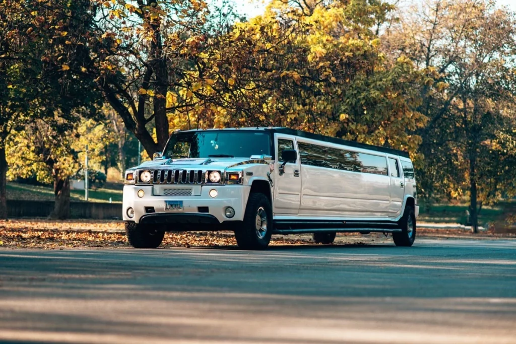 limo-service-belgrade (2)