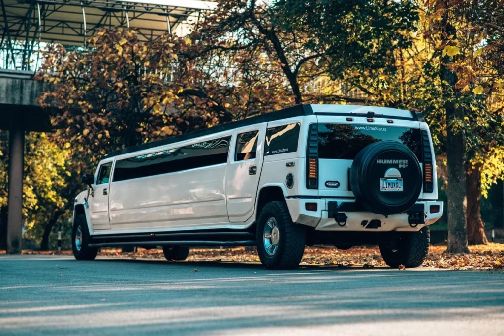 limo-service-belgrade (3)